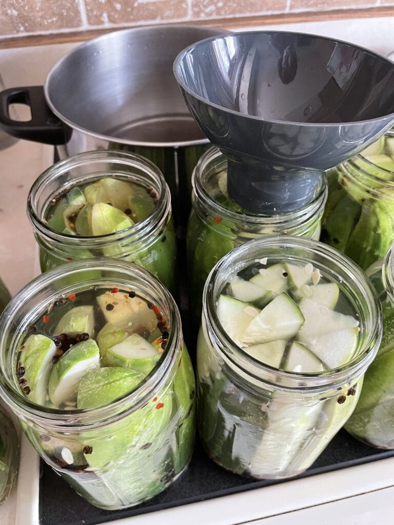 zesty dill pickles