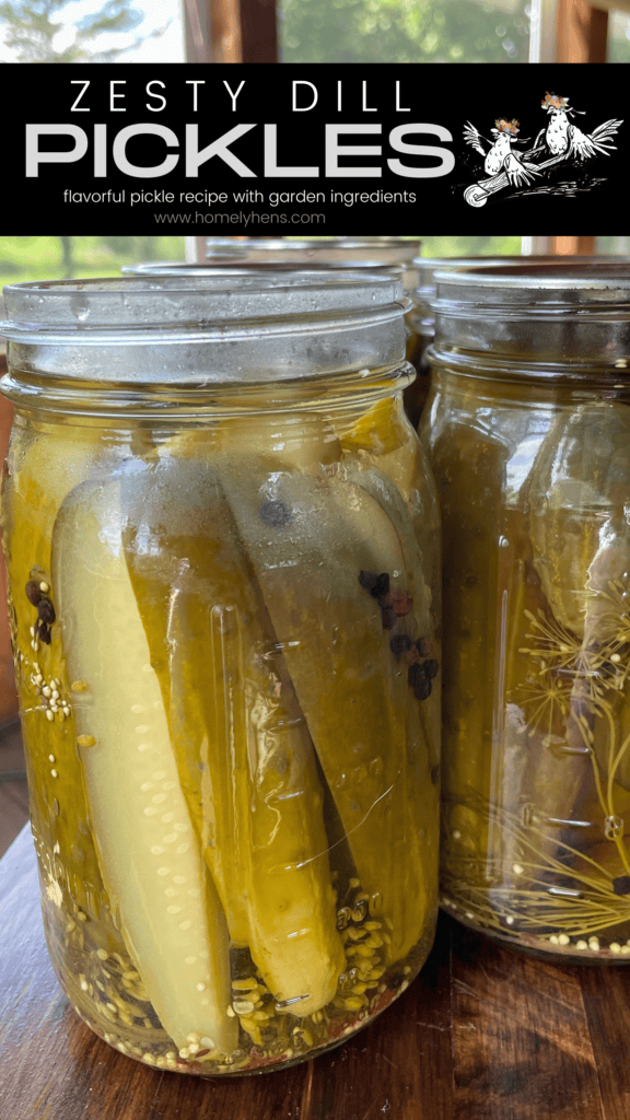 zesty dill pickles recipe
