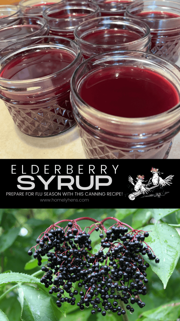 elderberry syrup