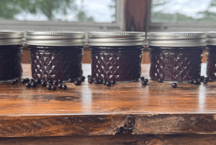 canned elderberry juice to turn to syrup with fresh elderberries 