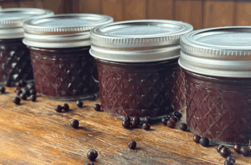 elderberry juice canned next to fresh elderberries on the table