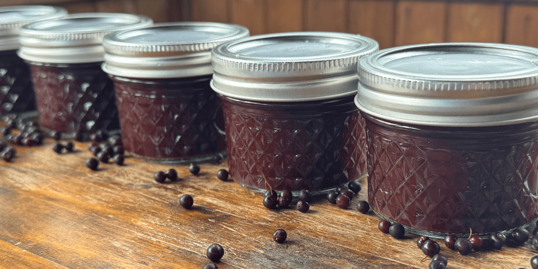 elderberry juice canned next to fresh elderberries on the table