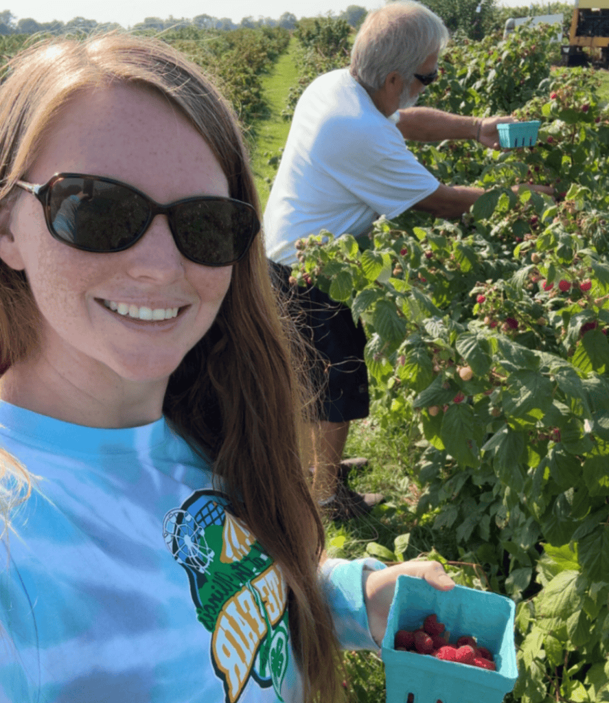 picking raspberries