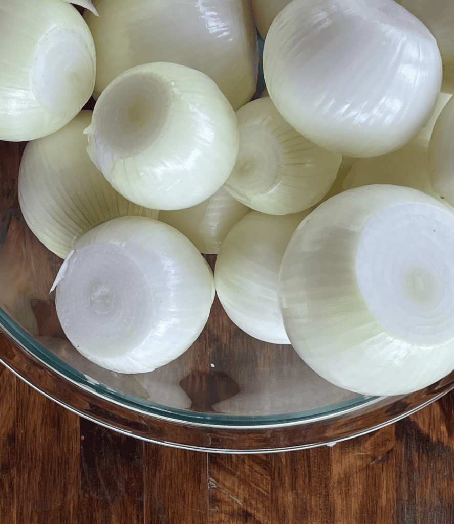 garden onions