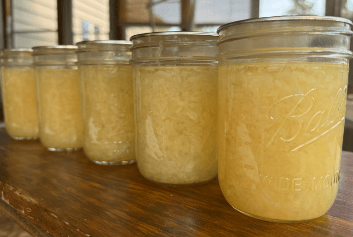 diced canned onions