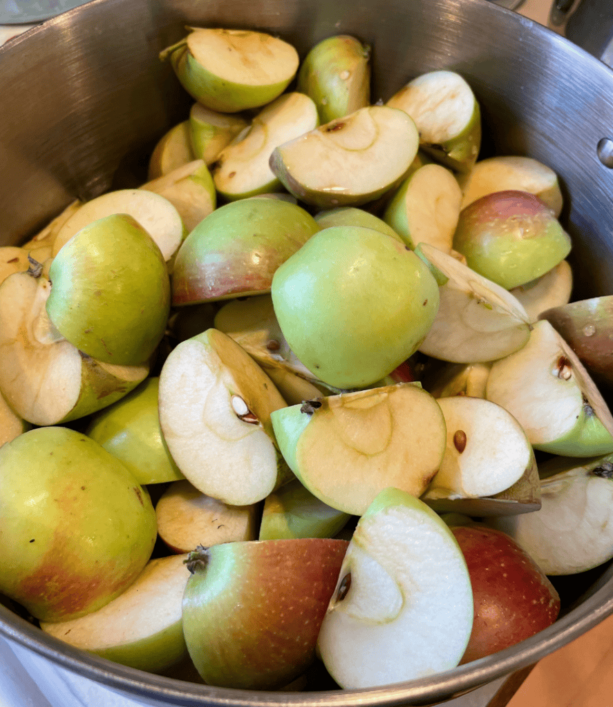 quartered apples