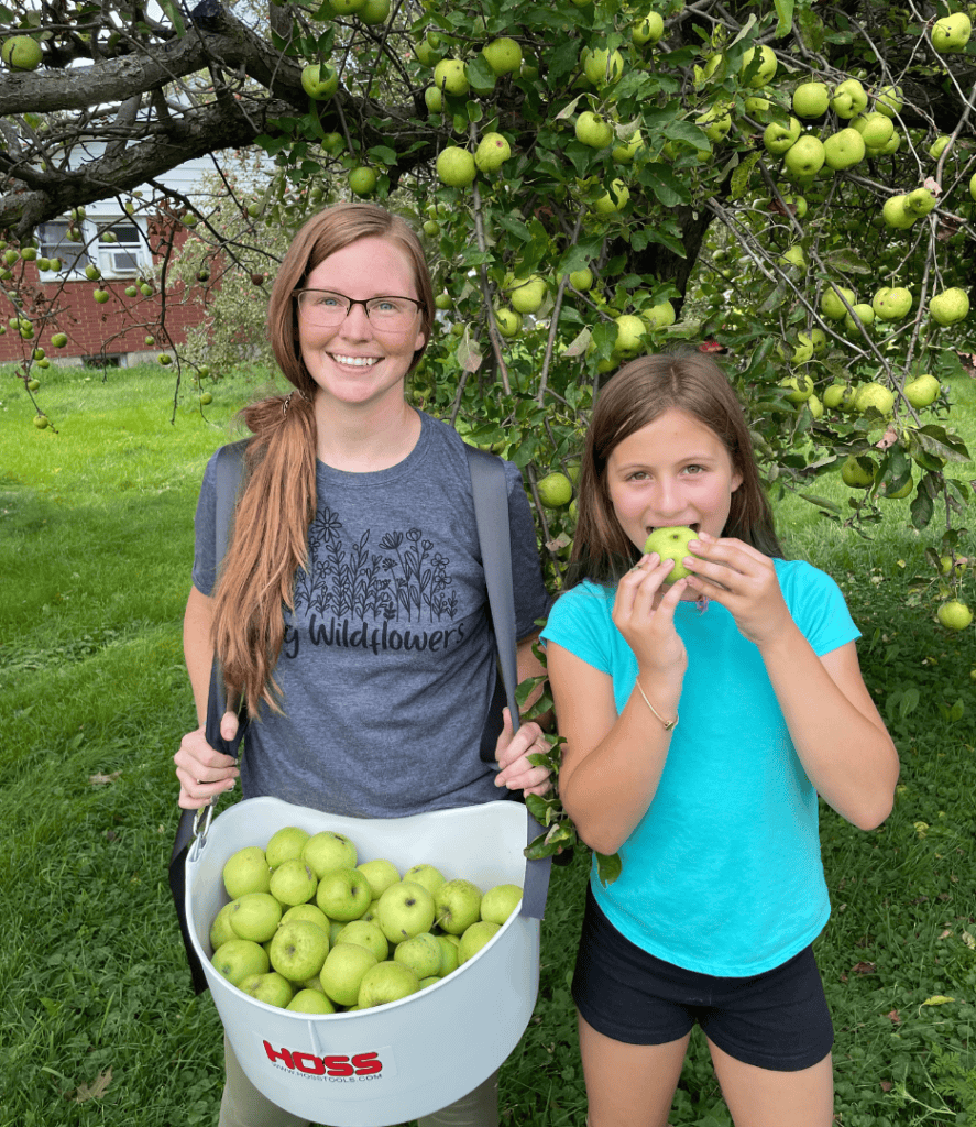 apple picking