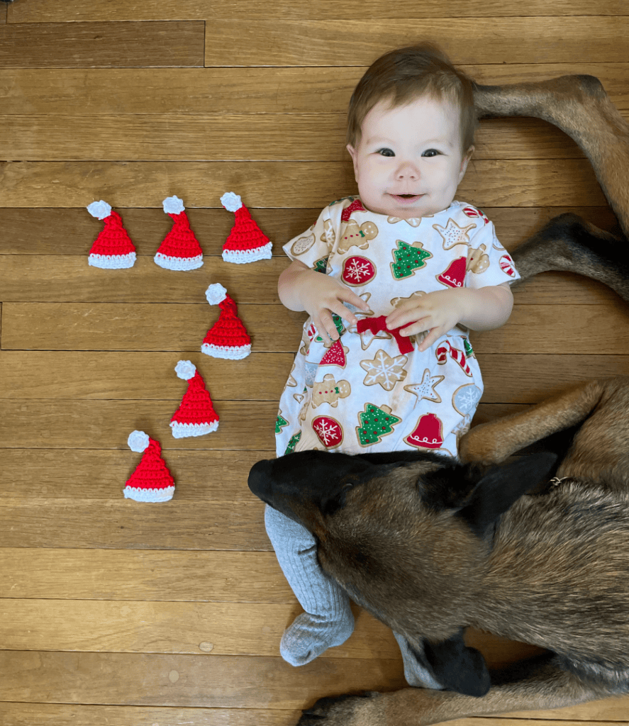 santa hat applique crochet pattern, baby and dog with a number 7