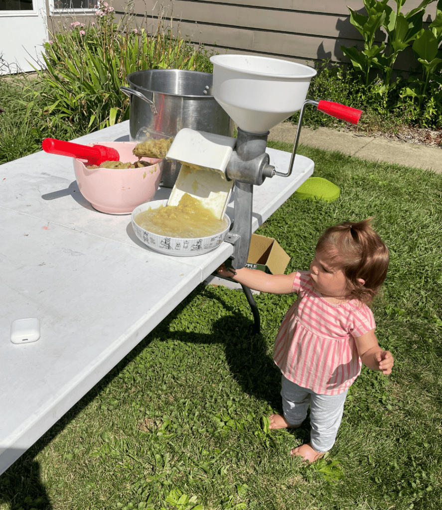 applesauce, food mill
