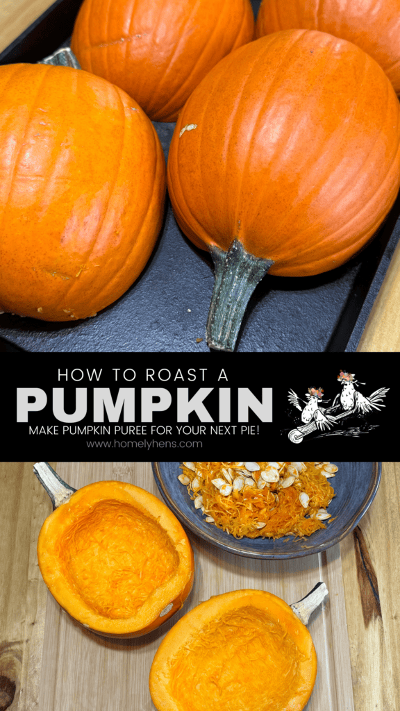pumpkin puree, pie pumpkins, how to make pumpkin puree