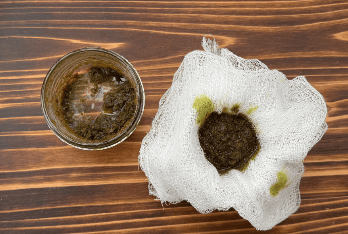 lemon balm infused olive oil