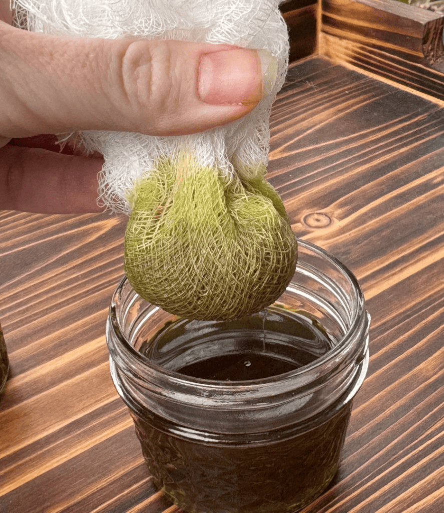 lemon balm infused olive oil