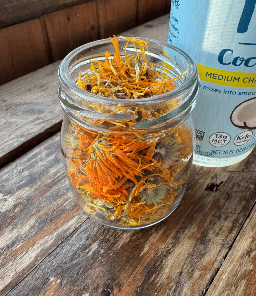 calendula-infused coconut oil