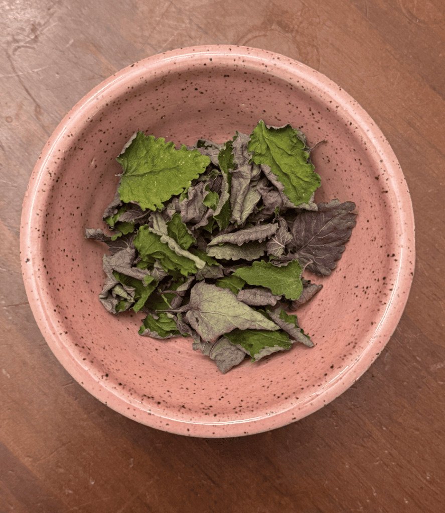 lemon balm leaves, infused olive oil