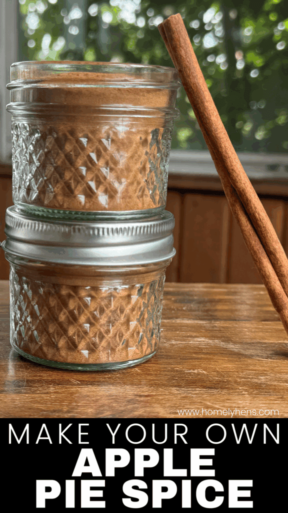 homemade apple pie spice in 4 oz jars with a cinnamon stick leaning against them