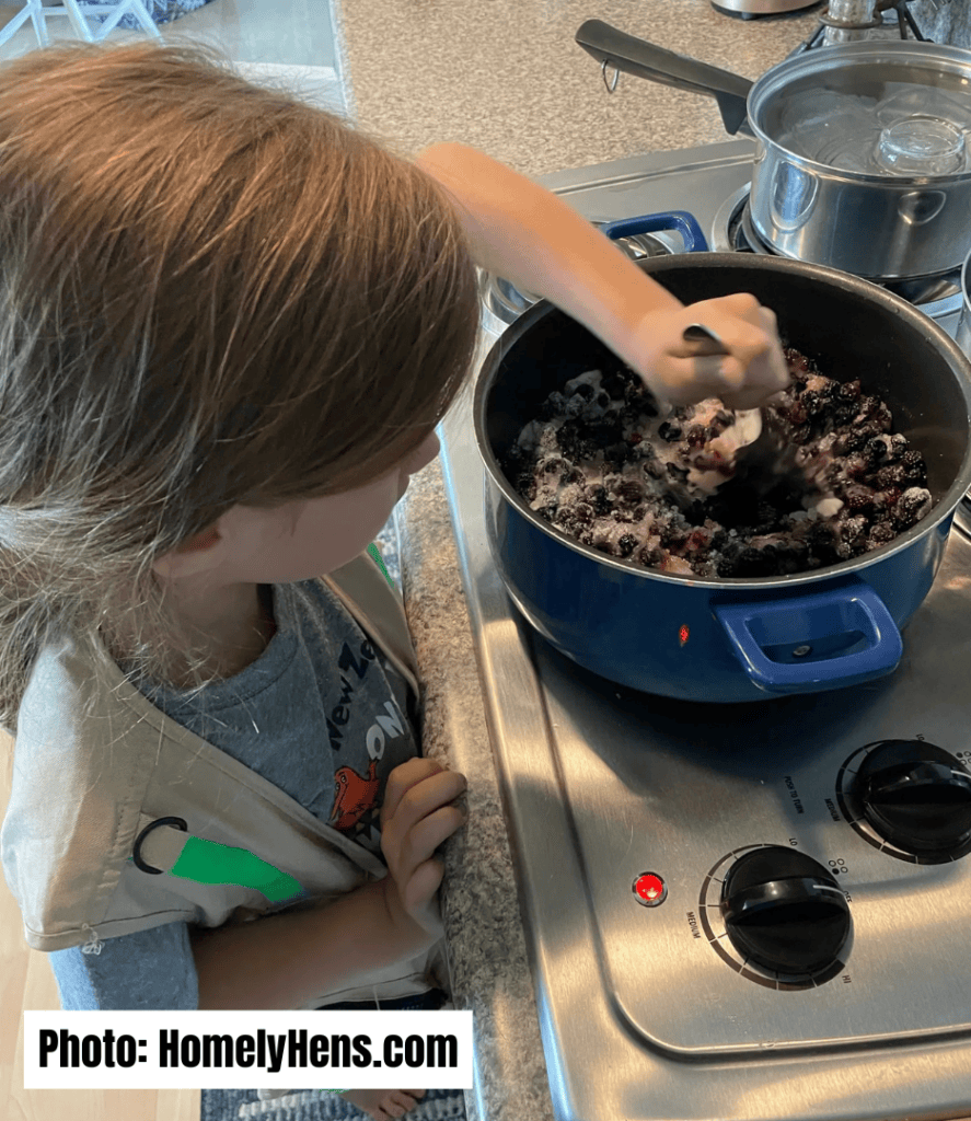 easy jam and jelly recipes for beginners
