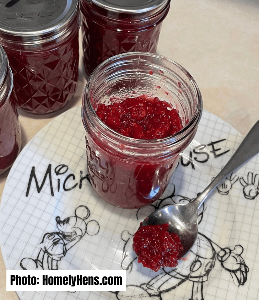 Easy Jam and Jelly Recipes for Beginners