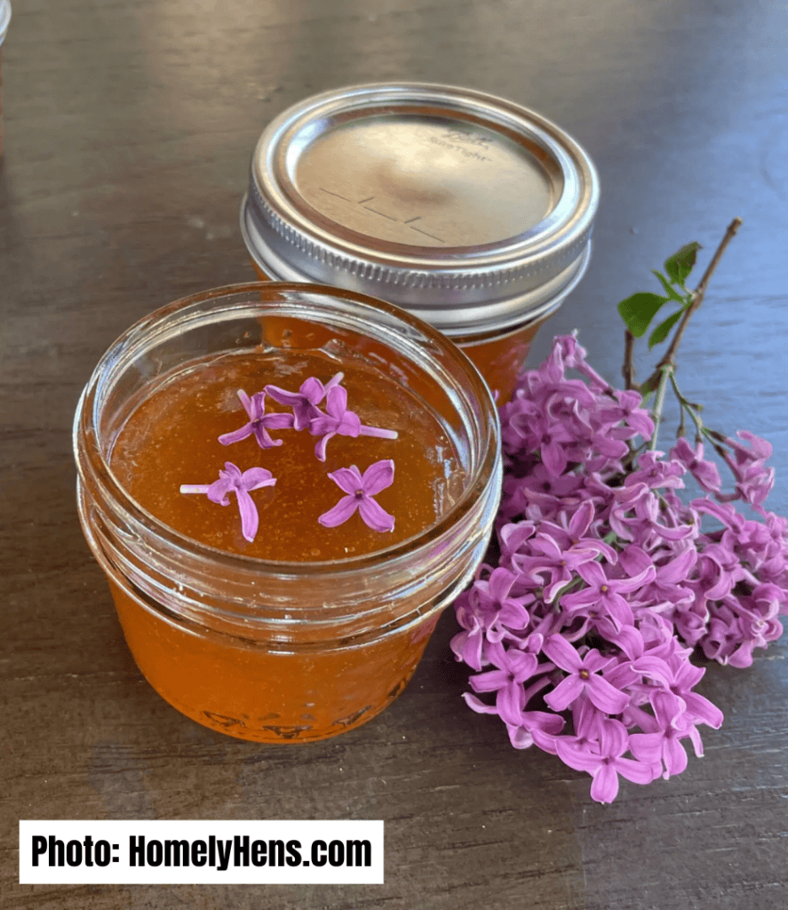 easy jam and jelly recipes for beginners, lilac jelly