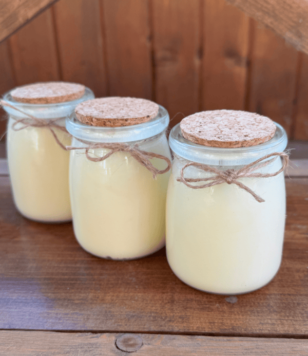 tallow balm, glass jar with cork lid