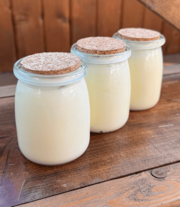 mint tallow balm, peppermint, spearmint