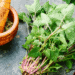 lemon balm, lemon balm-infused oil