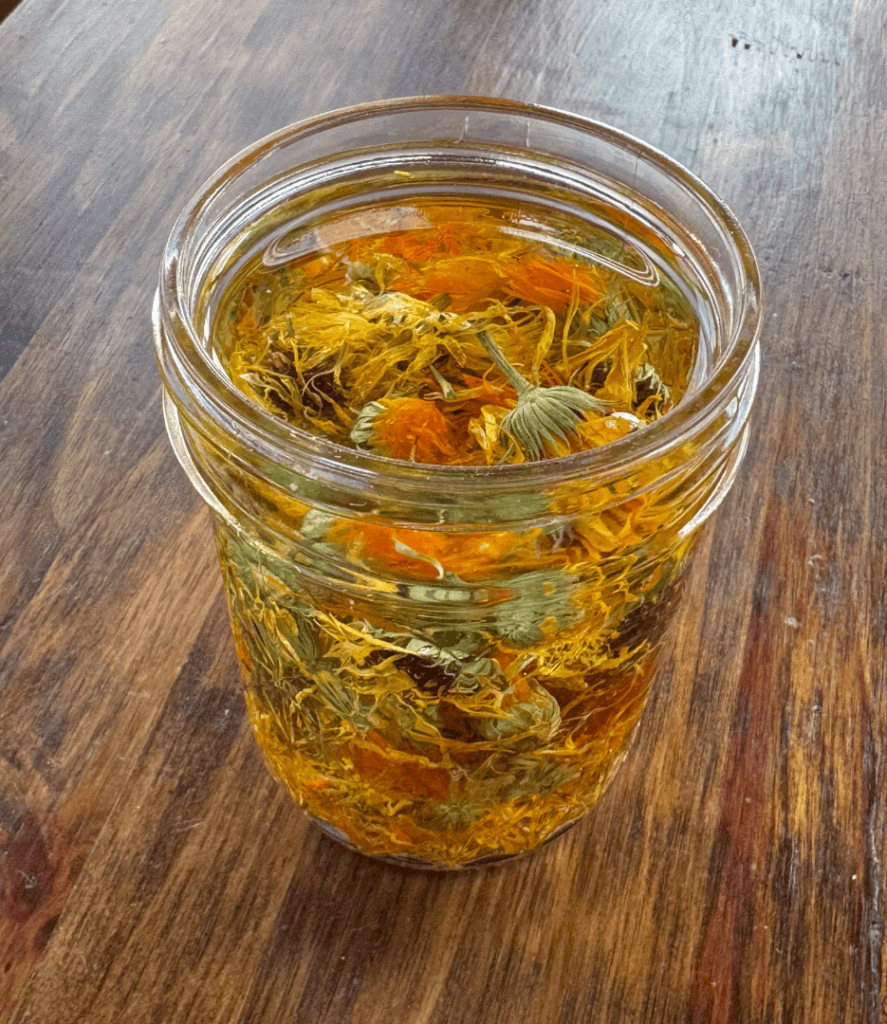 how to dry calendula