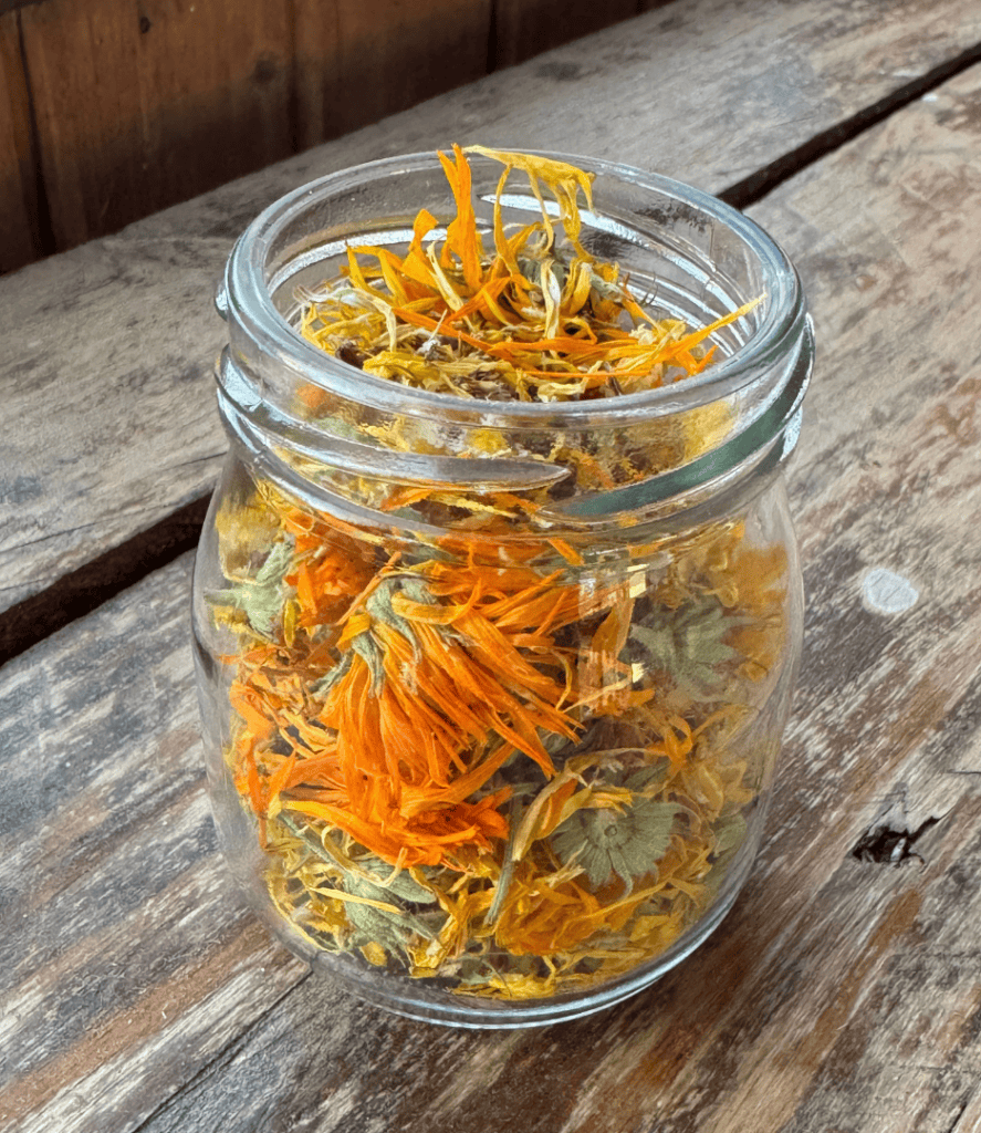 how to dry calendula