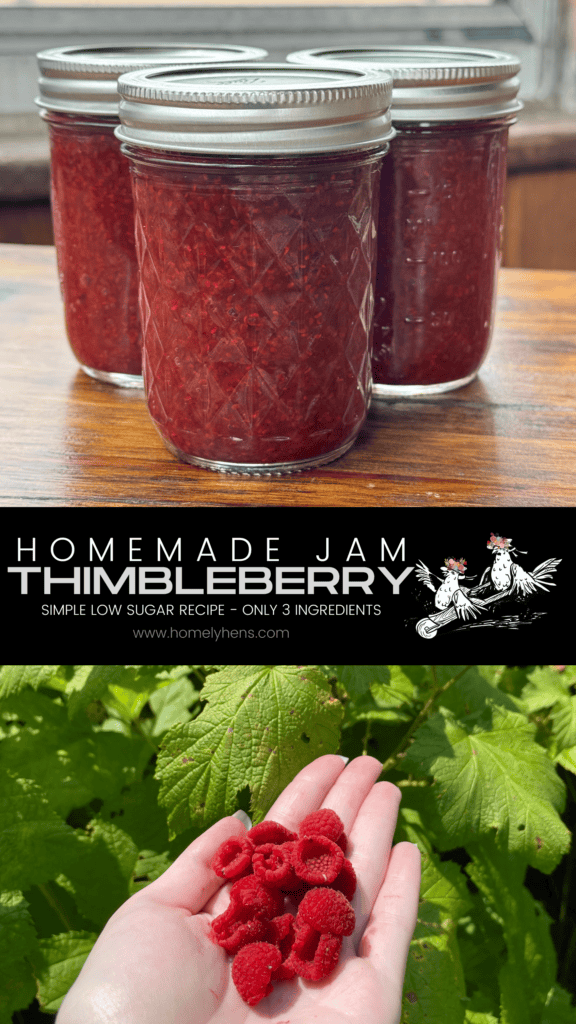 thimbleberries, thimbleberry jam