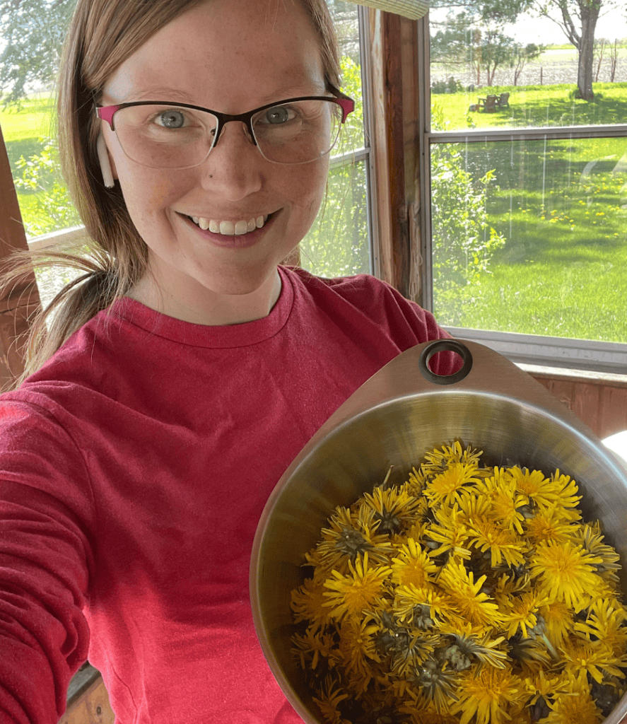 dandelions, dandelion jelly