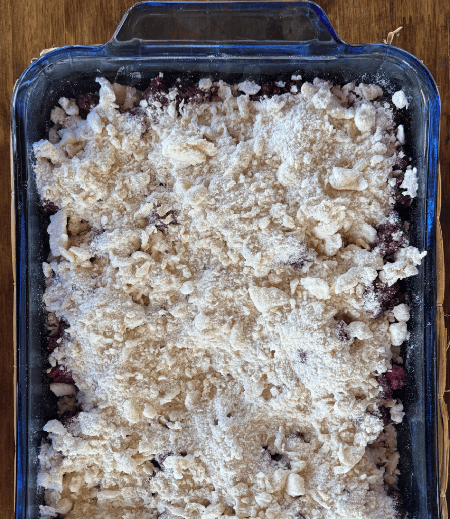 black raspberry bars