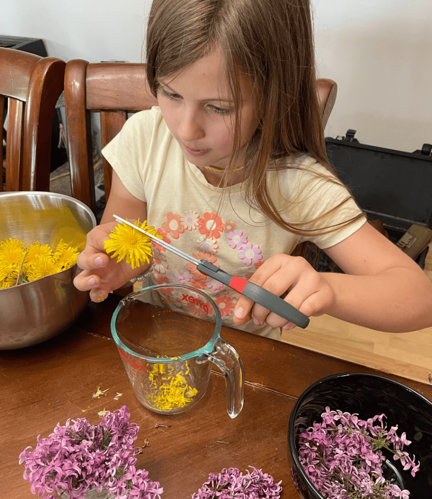 dandelions, dandelion jelly