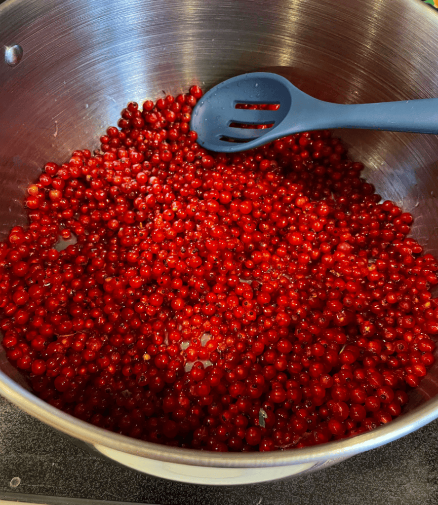 juicing red currants, Black Raspberry Currant Jam