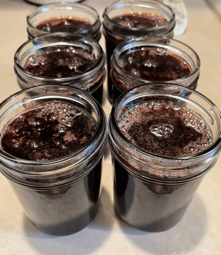 grape jelly in jars