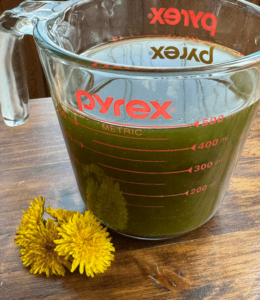 dandelion tea