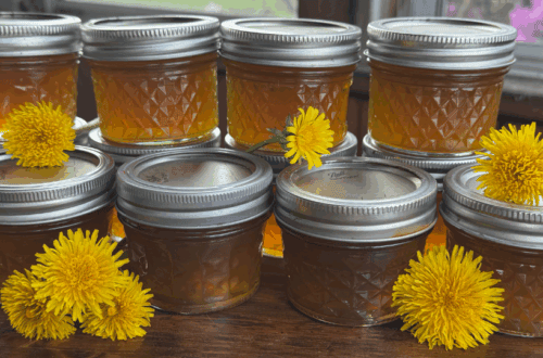 dandelion jelly