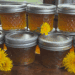 dandelion jelly