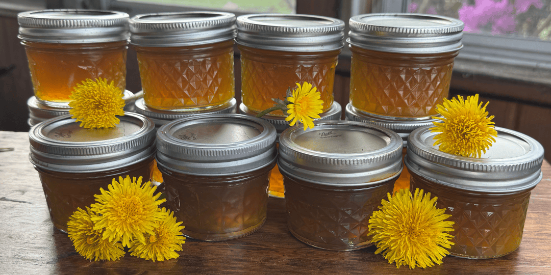 dandelion jelly