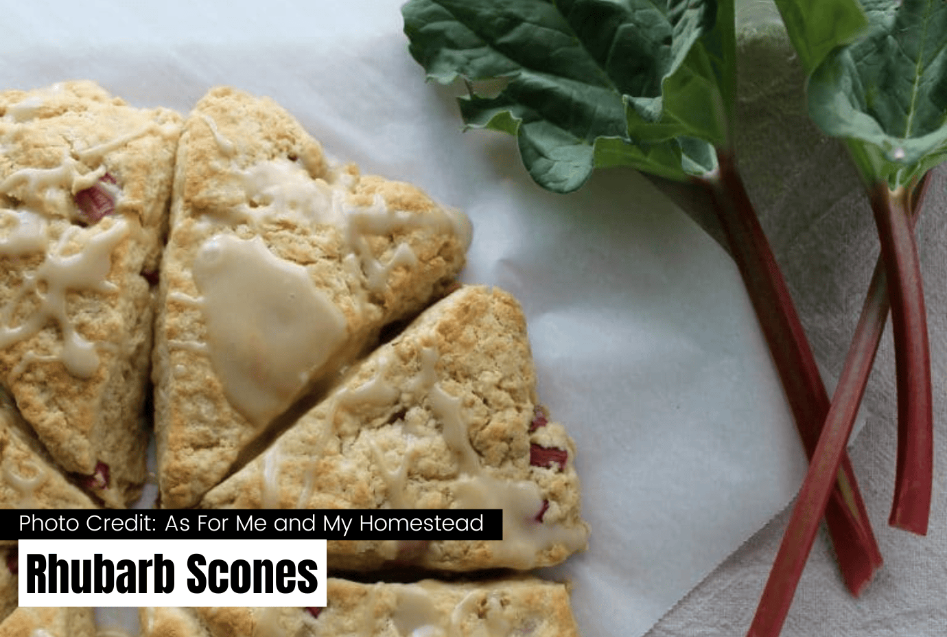 rhubarb scones