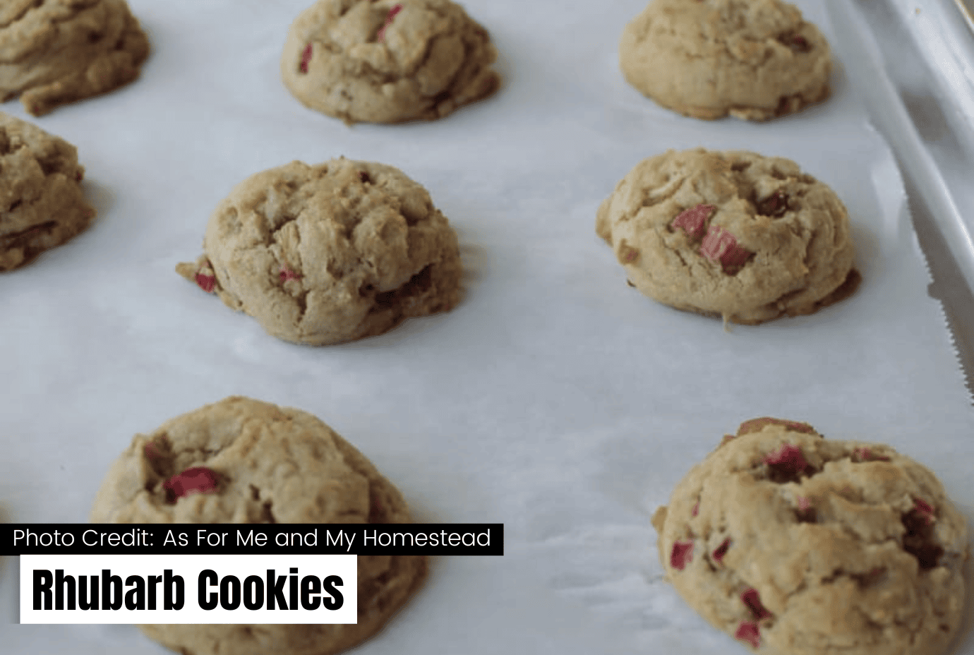 rhubarb cookies