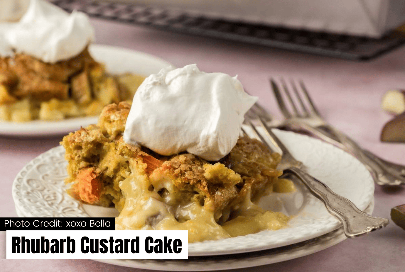 rhubarb custard cake, rhubarb dessert recipes