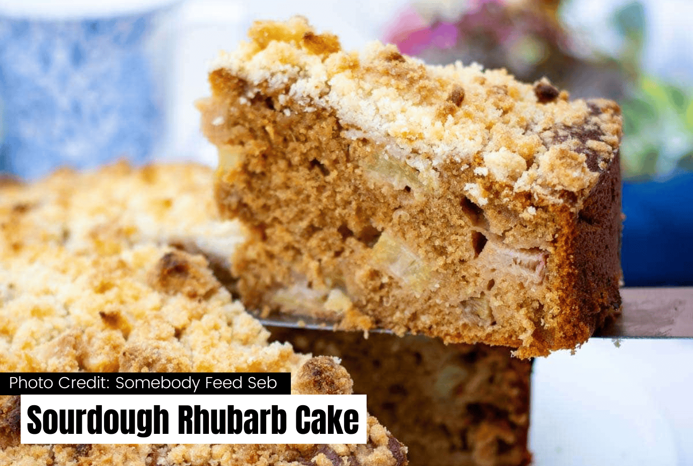 sourdough rhubarb cake