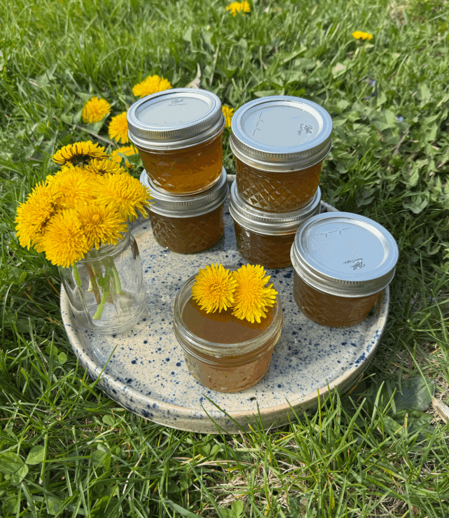 dandelion jelly