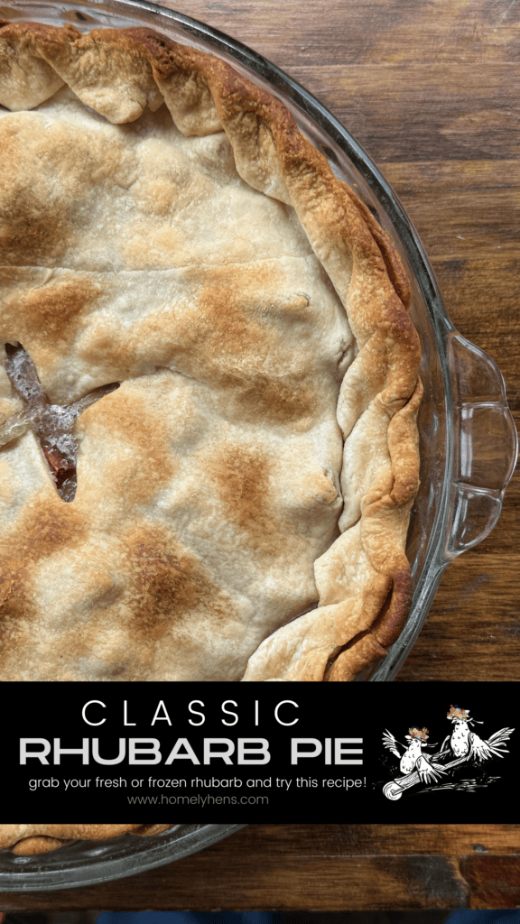 rhubarb pie