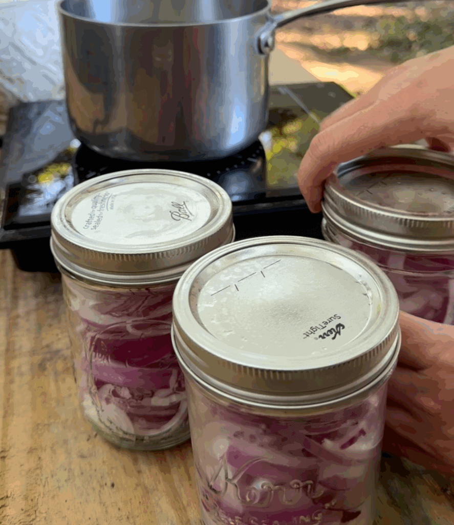 pickled red onions