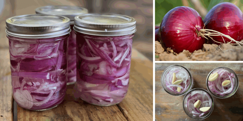 pickled red onions
