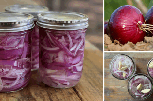pickled red onions