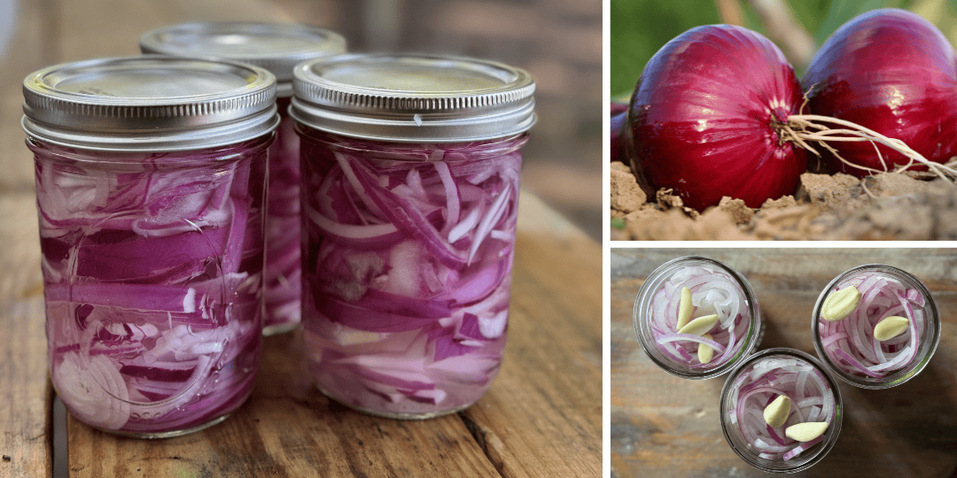 pickled red onions