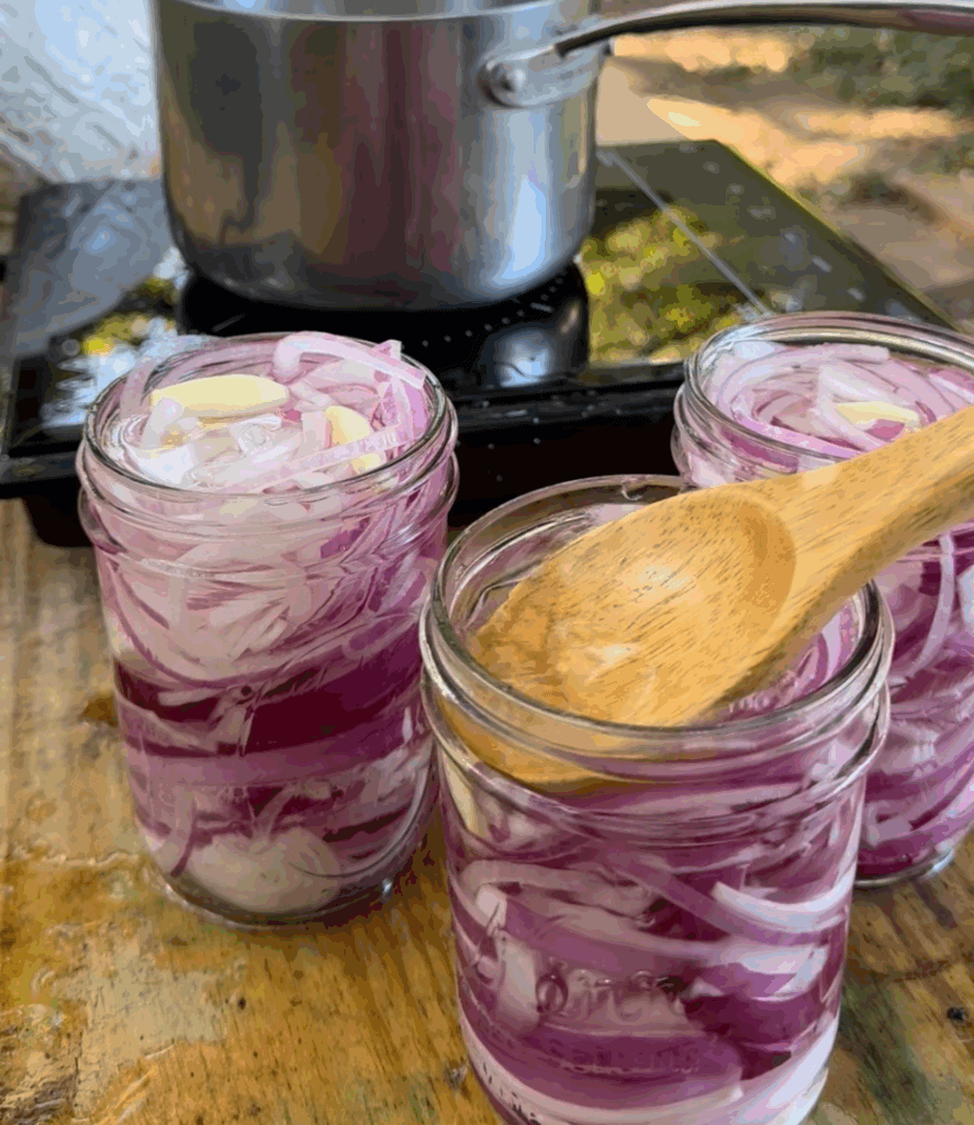 pickled red onions