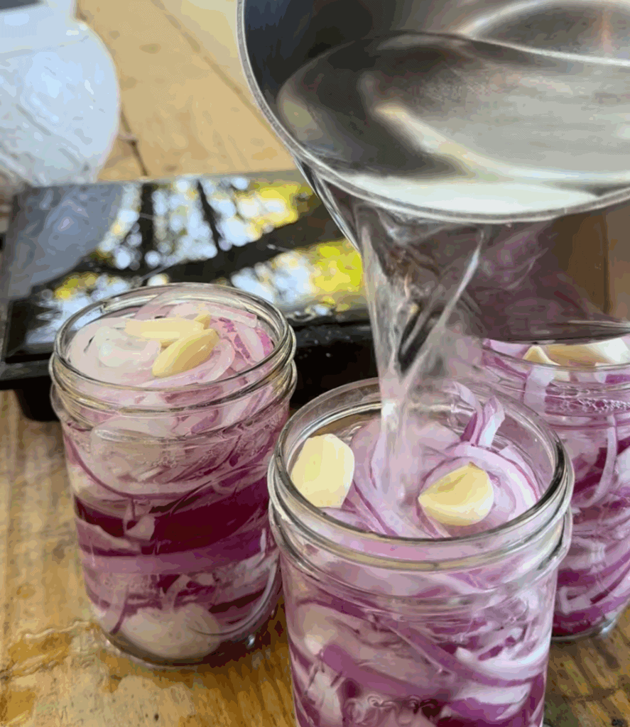 pickled red onions