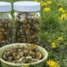 how to dry dandelions